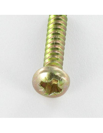 1 x Blechschraube breitem gewölbtem kopf Pozi...