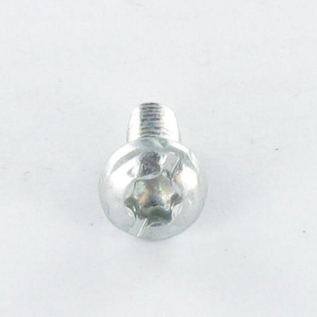1 x Gewindefurchende Schraube Zylindrischer Flachkopf TORX Mit Gewinde Gespalten 5x12 Gezahnt Verzinkt