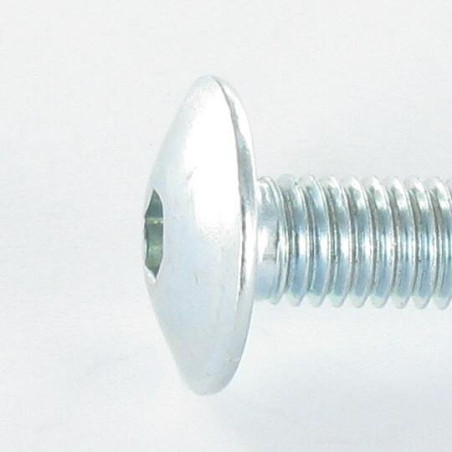 1 x Schraube Flachrundkopfschraube M6x14 Schraubenschlüssel 4 Verzinkt