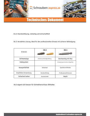 1 x Biteinsatz Industrielle Qualität 1/4" E6.3...