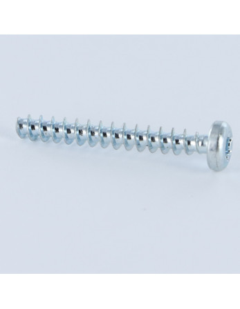 1 x Schraube PVC Zylindrischer Flachkopf T10...