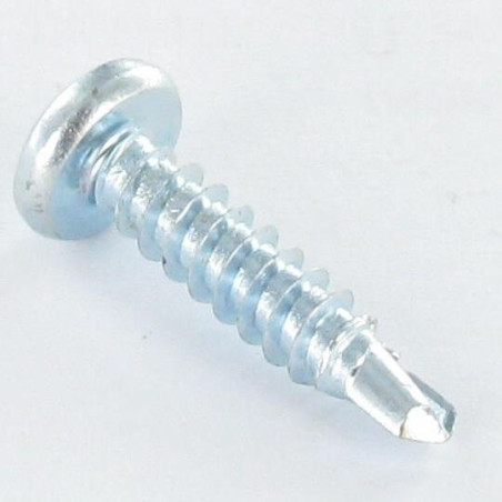 1 x Selbstbohrende Schrauben Zylindrischer Halbrundkopf 4,8 x 25 T25 Verzinkt