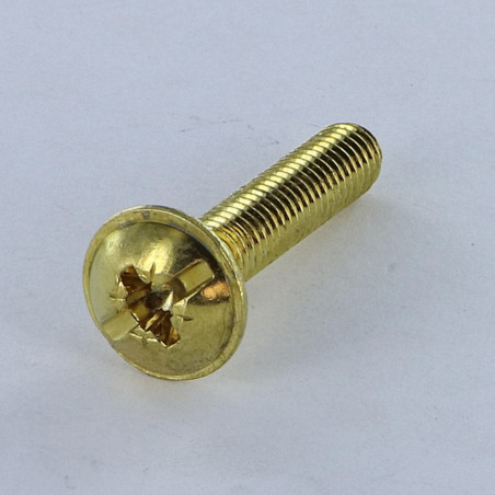 1 x Schraube Flachrundkopfschraube POZI und gespalten M6x14 Vermessingtem Stahl