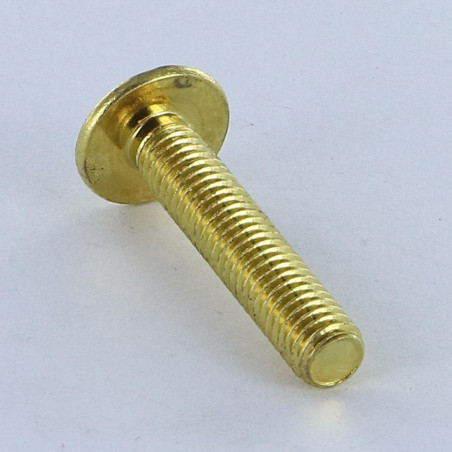1 x Schraube Flachrundkopfschraube POZI und gespalten M6x14 Vermessingtem Stahl
