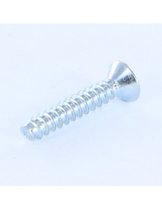 Blechschraube Senkkopfschraube Phillips 1 Ohne Nagel 2,9... 2