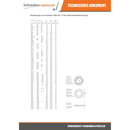1 x Scheiben/Unterlegscheibe NORD-LOCK ® Rohstahl DELTA SCHÜTZEN M16 720 Stunden Salzprühnebel ohne Rotrost