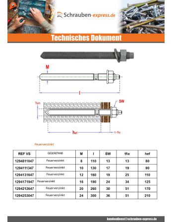 1 x Gewindestange BOZELENANKER CHEMISCH M20X260...