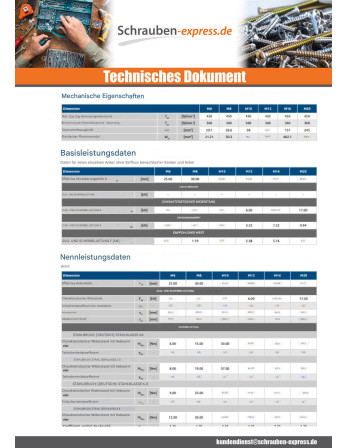 1 x Dübel Nugget RAWLPLUG Verzinkt 6x25