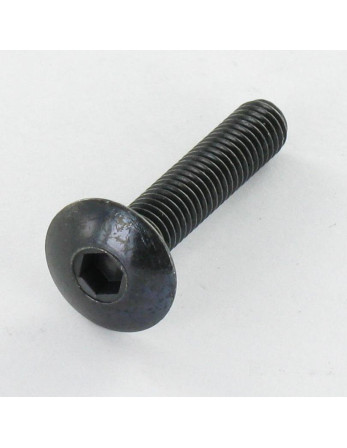 1 x Schraube Flachrundkopfschraube M6x35...