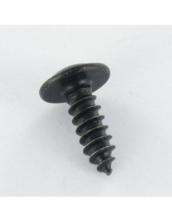 1 x Blechschraube Flachrundkopfschraube Pozi...