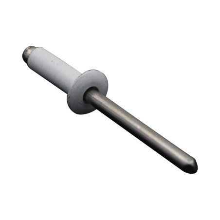1 x "Niet 4,8 x 16 Flachkopf RAL9016 signalweiß