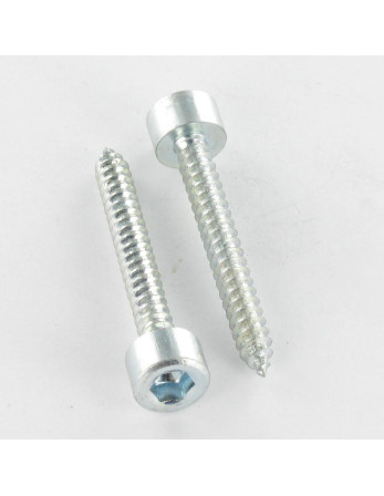1 x Blechschraube Innensechskantschraube...