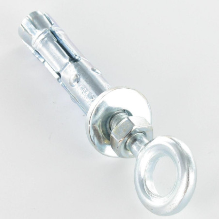 1 x Dübel BOZELENANKER Mit Ringschraube M10 16x60 Verzinkt
