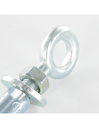 1 x Dübel BOZELENANKER Mit Ringschraube M10...