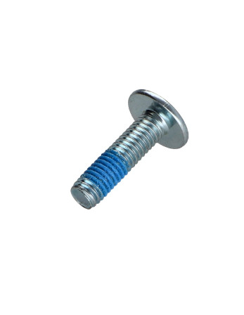 1 x Schraube Flachrundkopfschraube M6X22...