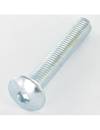 1 x Schraube Flachrundkopfschraube M8X55...