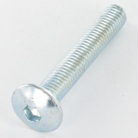 1 x Schraube Flachrundkopfschraube M8X55 Schraubenschlüssel 5 Verzinkt Pilot Spitze