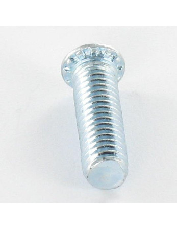 1 x Schraube Nieten M6X30 Verzinkt