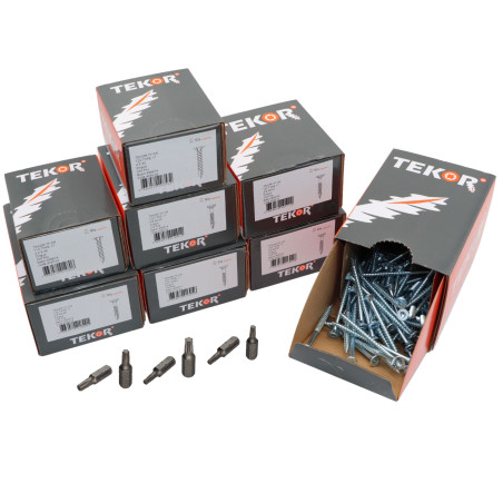 1 x TEKOR PACK PRO 1200 Schraube Senkkopfschraube Gezahnt TORX Verzinkt