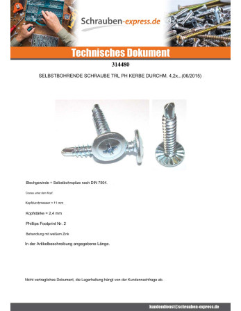 1 x Selbstbohrende Schrauben Breiter Rundkopf...