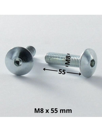 1 x Schraube Flachrundkopfschraube M8X55...