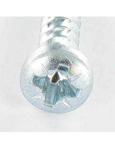 Schraube PVC Zylindrischer Flachkopf Pozi 6X29 Gewinde 40... 2
