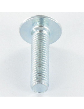 1 x Schraube Flachrundkopfschraube M6X30...