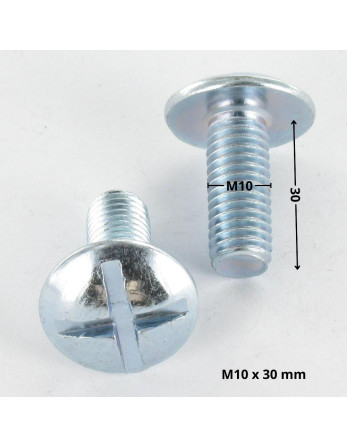 1 x Schraube Flachrundkopfschraube Gespalten In...