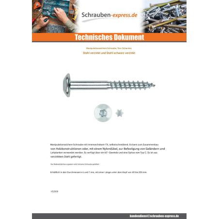 1 x Schraube Binder Sichere 2 stück T40 7 x 70 Verzinkt