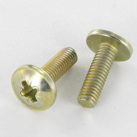 1 x Schraube Flachrundkopfschraube Pozi M6x24 Kopf-Durchmesser 14,5 Dichromat