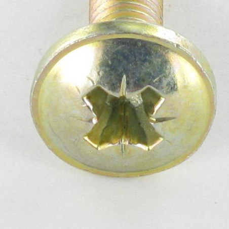 1 x Schraube Flachrundkopfschraube Pozi M6x24 Kopf-Durchmesser 14,5 Dichromat