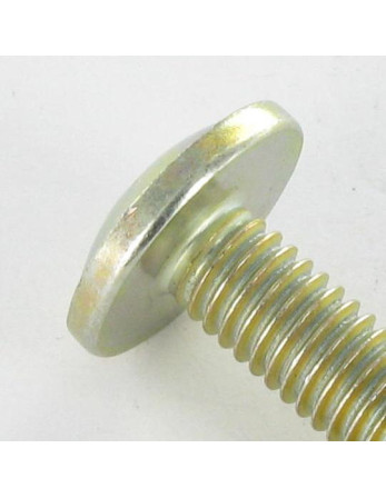 1 x Schraube Flachrundkopfschraube Pozi M6x24...