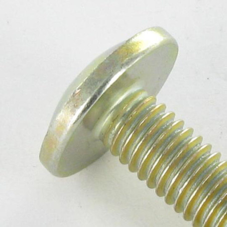 1 x Schraube Flachrundkopfschraube Pozi M6x24 Kopf-Durchmesser 14,5 Dichromat