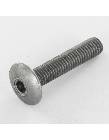 1 x Schraube Flachrundkopfschraube M6X75...