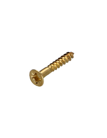 1 x Holzschraube Senkkopf Pozi 2 4X35...