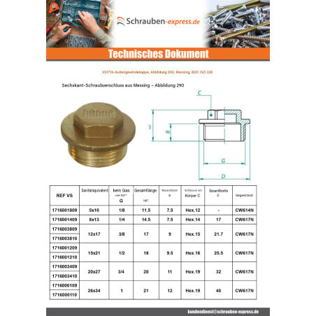 1 x Stecker (männlich) Abbildung 290 26x34 (1") Flachkopf Messing