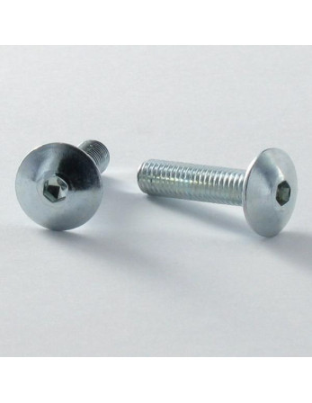 1 x Schraube Flachrundkopfschraube M6X55...