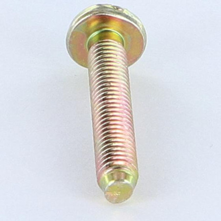 1 x Metallschrauben Breiter zylindrischer Halbrundkopf Gespalten M6x35 BP Dichromat