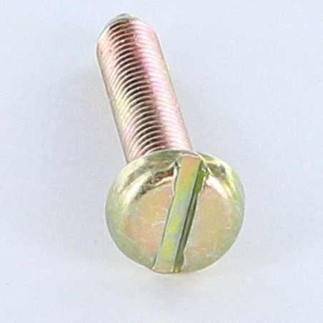 1 x Metallschrauben Breiter zylindrischer Halbrundkopf Gespalten M6x35 BP Dichromat