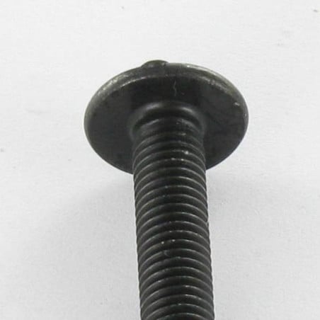 1 x Schraube Flachrundkopfschraube POZI und gespalten M5x10 Stahl schwarz verzinkt