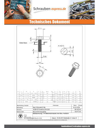 1 x Gewindefurchende Schraube Sechskantkopf...
