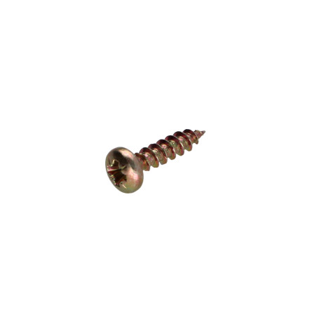 1 x Spanplattenschrauben Rundkopf Pozi N°1 2,5 x 16 Dichromat Kopf-Durchmesser MAX 4 Mikroschrauben