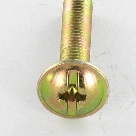 1 x Schraube Flachrundkopfschraube POZI und gespalten M4x25 Dichromat