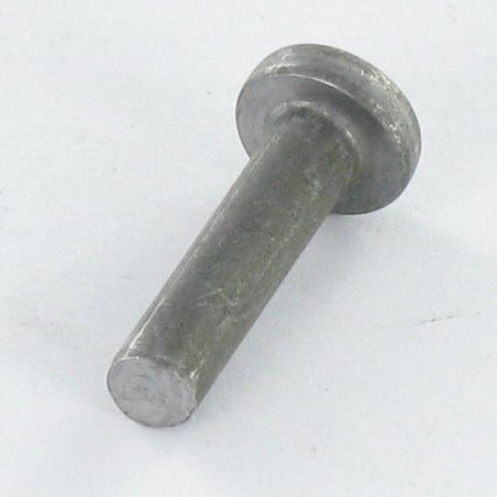 1 x Vollniet Flachkopf 6,5 x 10 Verzinkt EP2 Kopf-Durchmesser 12