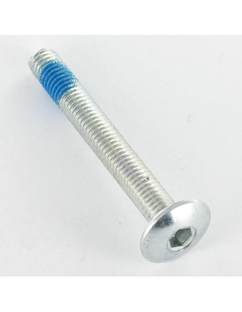 1 x Schraube Flachrundkopfschraube M8X50...