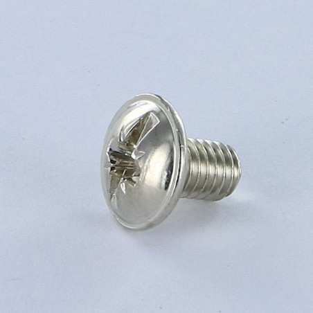 1 x Schraube Flachrundkopfschraube POZI und gespalten M6x10 Nickelstahl