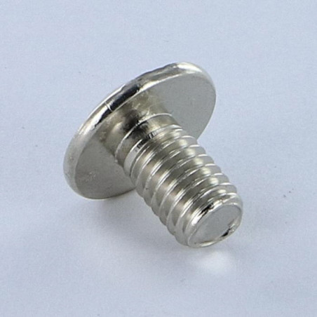 1 x Schraube Flachrundkopfschraube POZI und gespalten M6x10 Nickelstahl