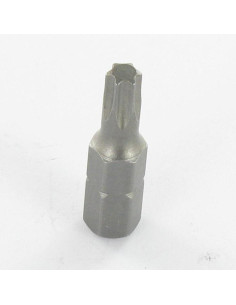Biteinsatz T40