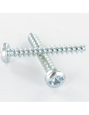 1 x Schraube PVC Zylindrischer Flachkopf T25...