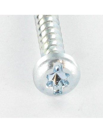 1 x Schraube PVC Zylindrischer Flachkopf T25...